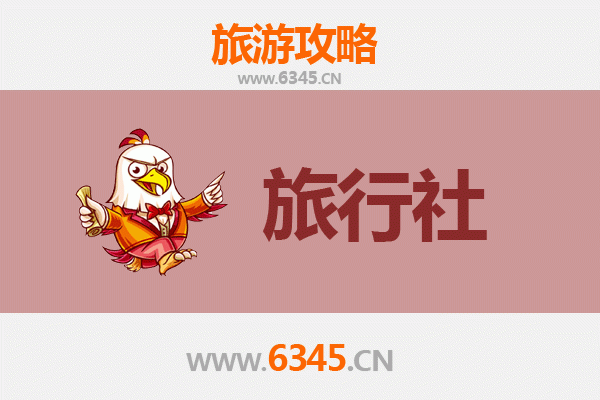 丽水龙泉本地旅行社推荐与深度游玩攻略
