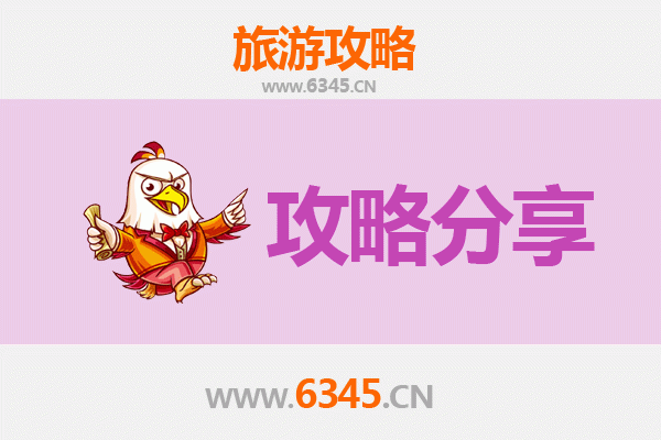 丽水龙泉至湄洲岛旅游攻略：跟团还是自由行？资深博主深度解析